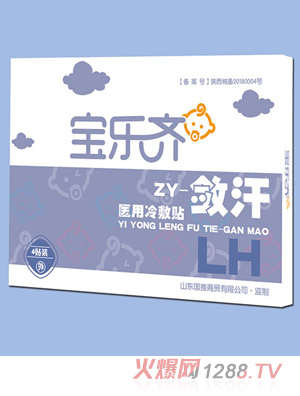 寶樂齊醫(yī)用冷敷貼-斂汗